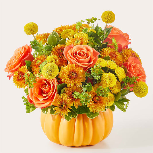 Gourdgeous Pumpkin –  Fleurs.ca, Quebec PQ