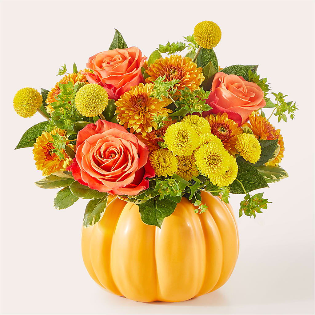 Gourdgeous Pumpkin –  Fleurs.ca, Quebec PQ