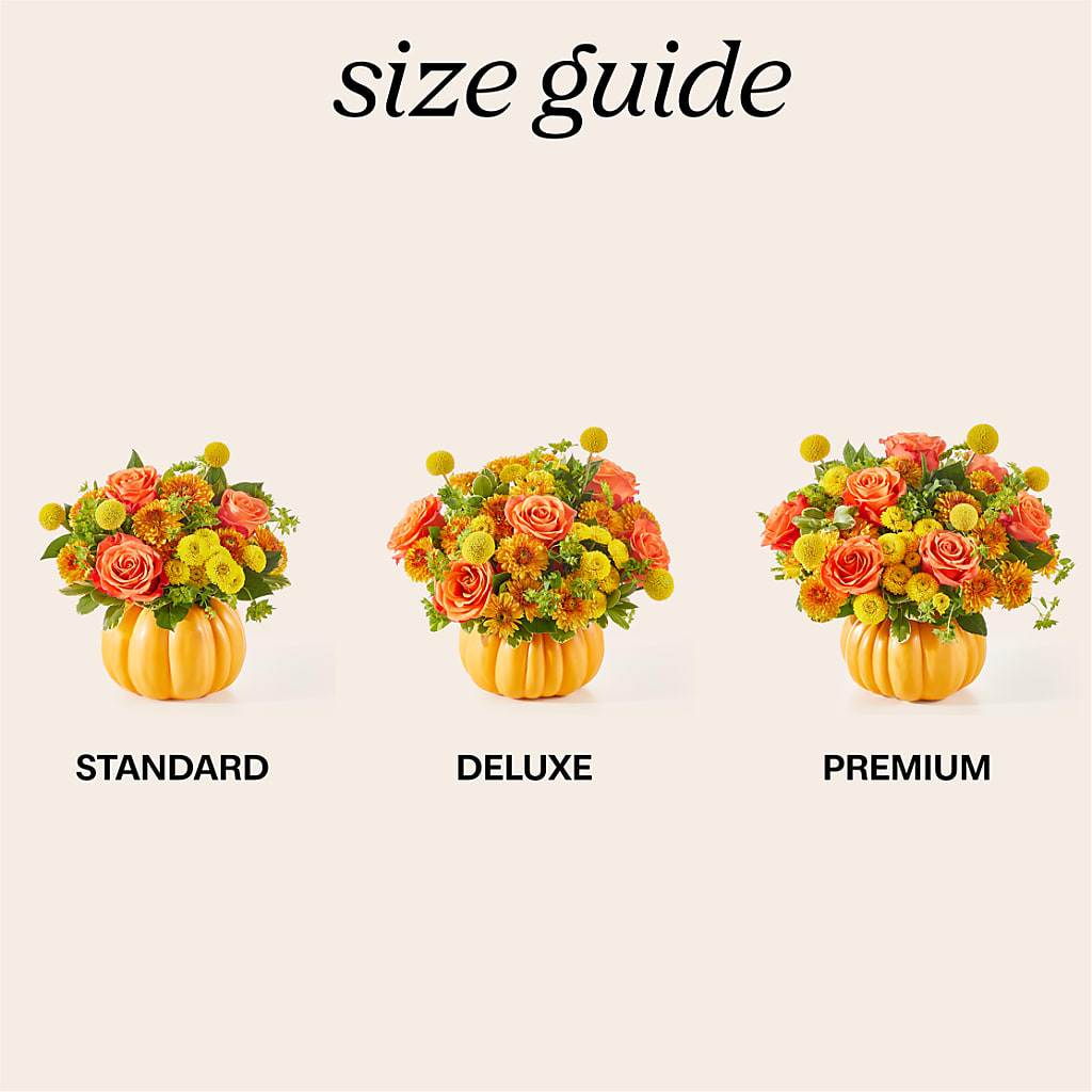 Gourdgeous Pumpkin –  Fleurs.ca, Quebec PQ