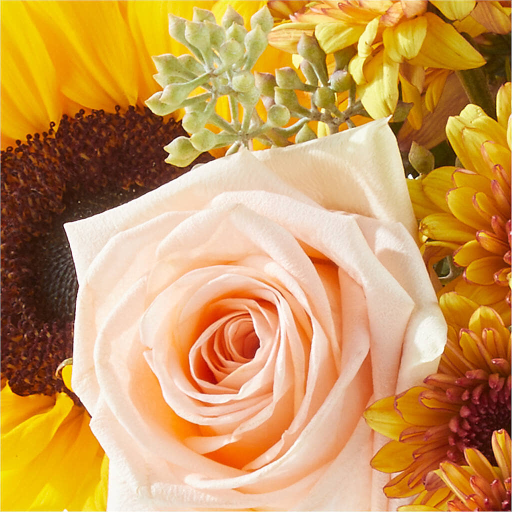 Pumpkin to Talk About Bouquet –  Fleurs.ca, Quebec PQ