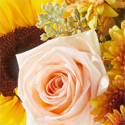 Pumpkin to Talk About Bouquet –  Fleurs.ca, Quebec PQ