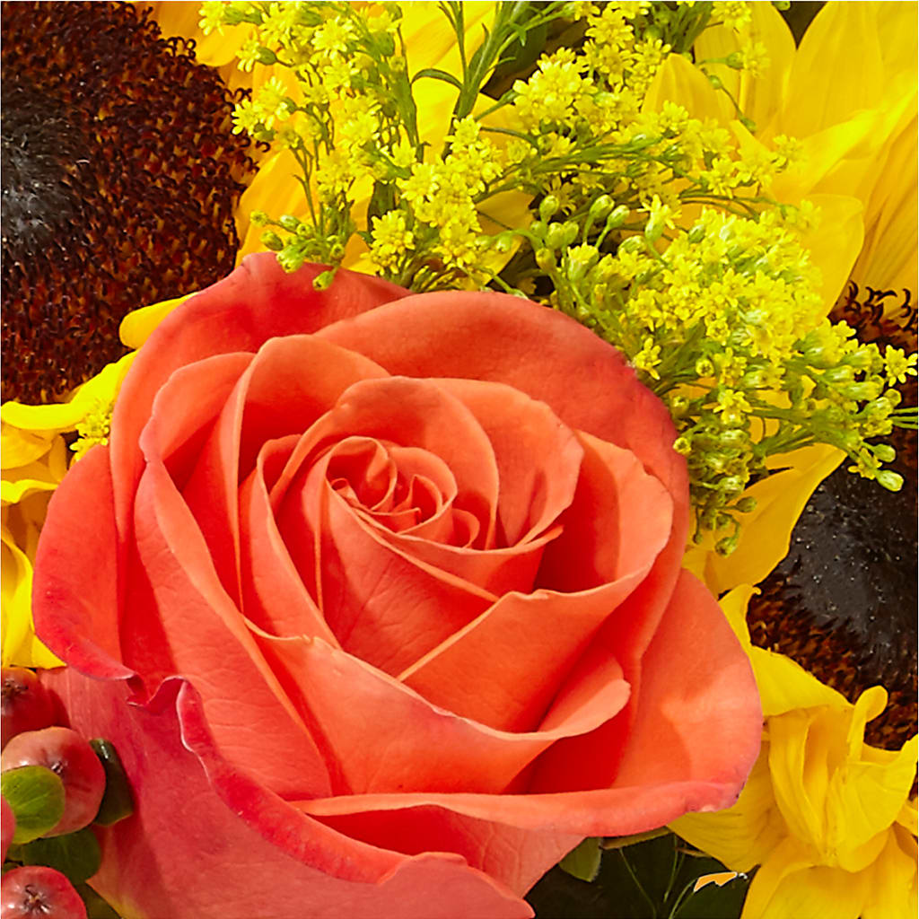 Pick of the Patch Pumpkin Bouquet –  Fleurs.ca, Quebec PQ