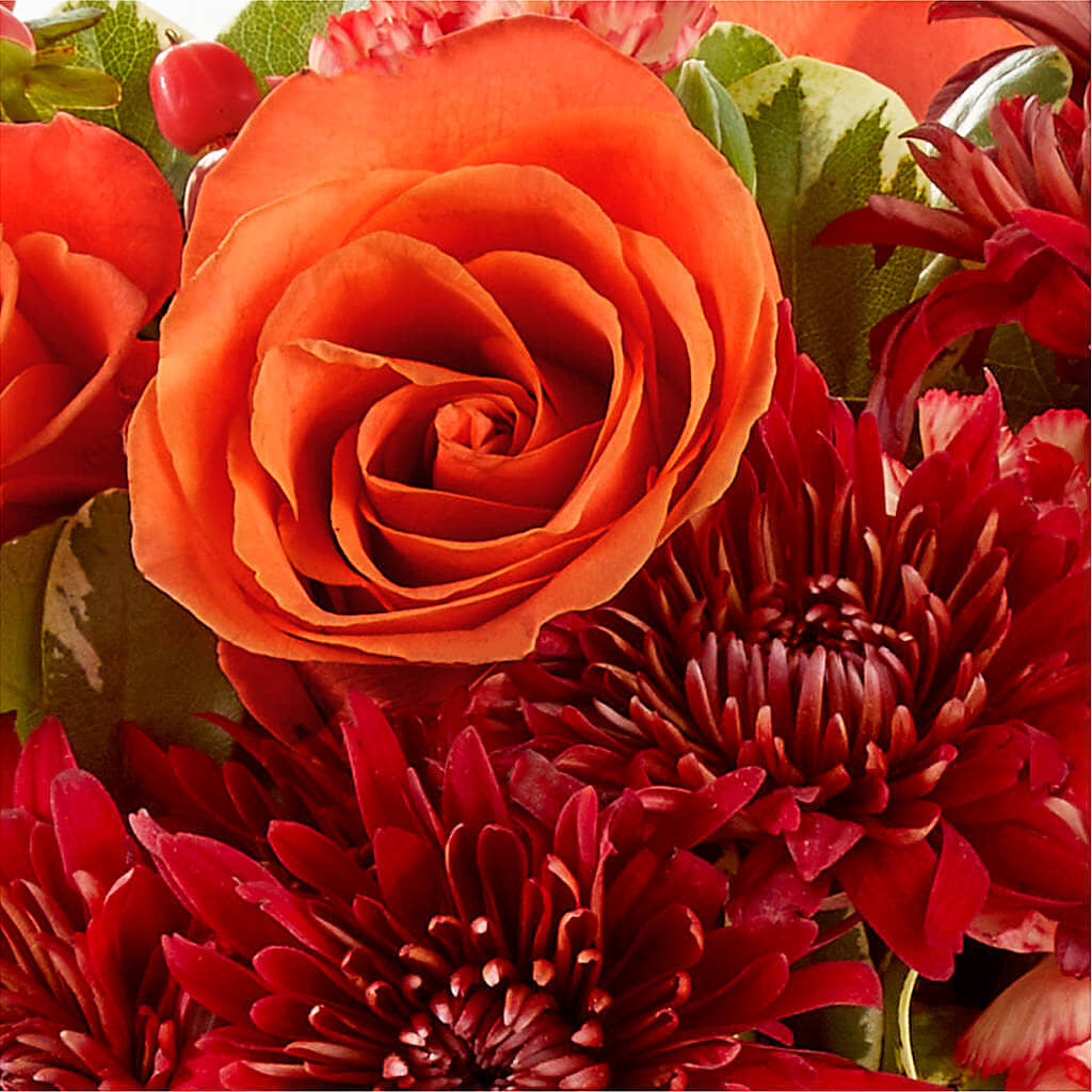 Autumn Air Pumpkin Bouquet –  Fleurs.ca, Quebec PQ