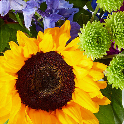 Catching Rays Bouquet –  Fleurs.ca, Quebec PQ