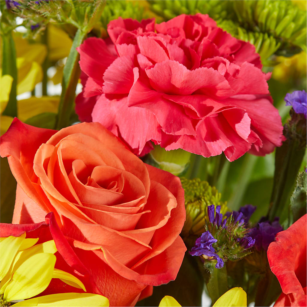 Brighter Days Bouquet –  Fleurs.ca, Quebec PQ