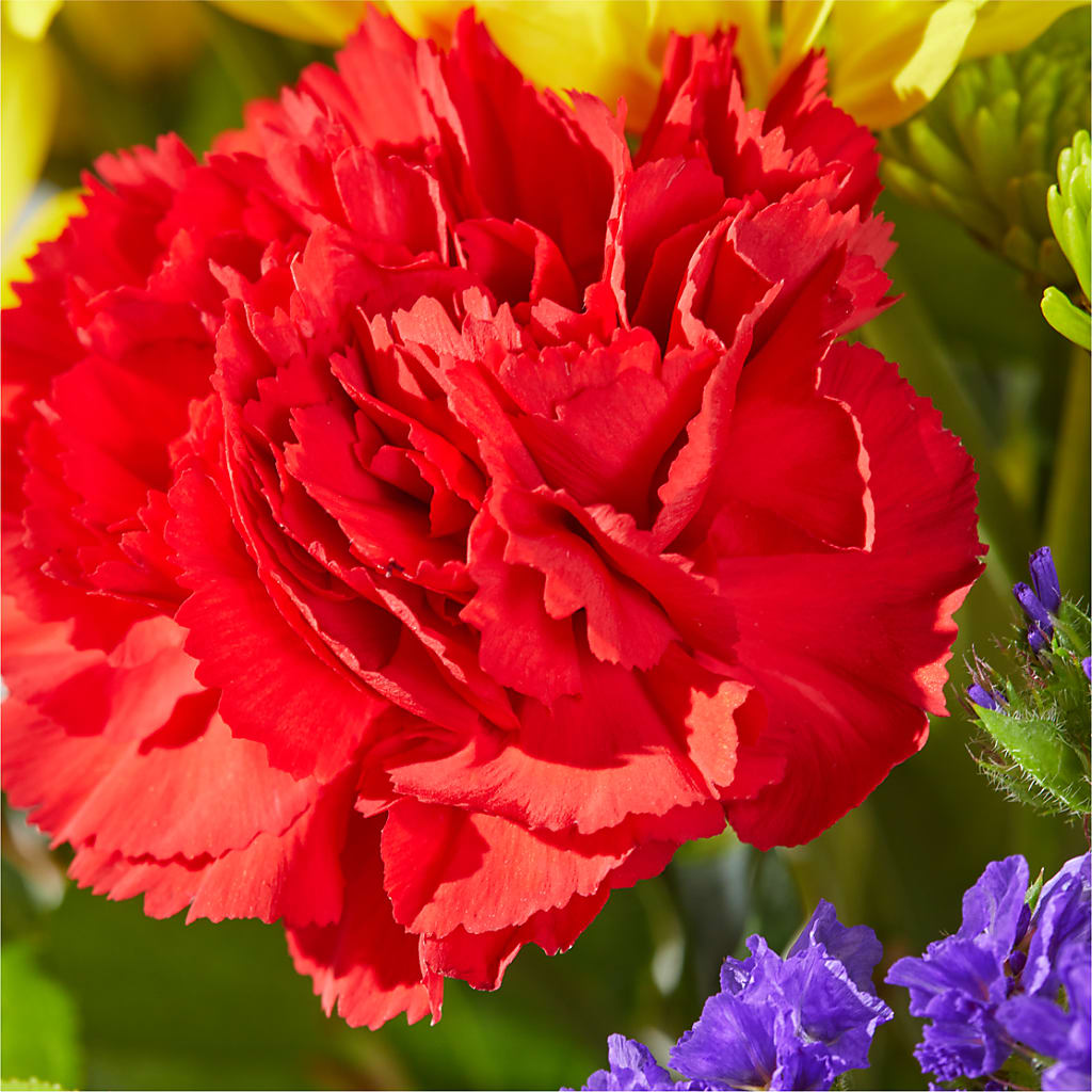 Brighter Days Bouquet –  Fleurs.ca, Quebec PQ
