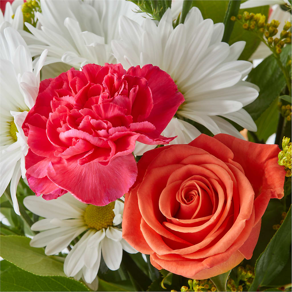 Oopsie Daisy Bouquet –  Fleurs.ca, Quebec PQ