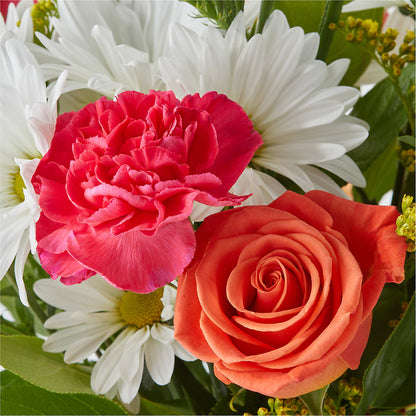 Oopsie Daisy Bouquet –  Fleurs.ca, Quebec PQ