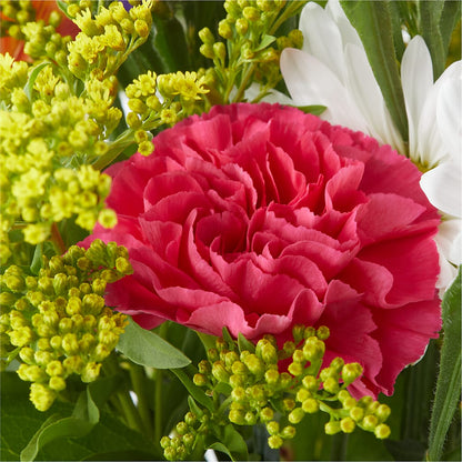 Oopsie Daisy Bouquet –  Fleurs.ca, Quebec PQ