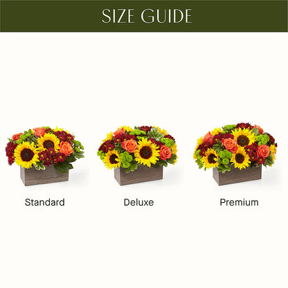 Happy Harvest Garden –  Fleurs.ca, Quebec PQ