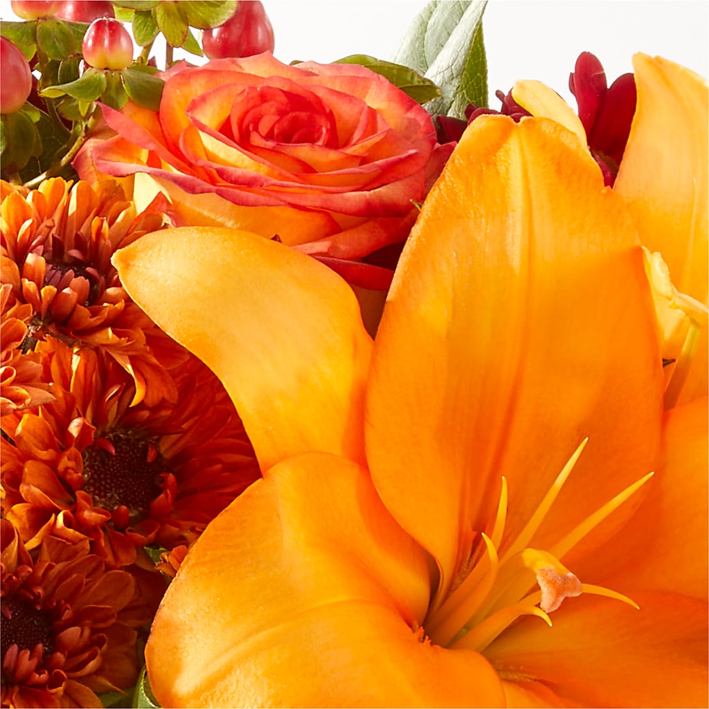 Backyard Bonfire Bouquet –  Fleurs.ca, Quebec PQ