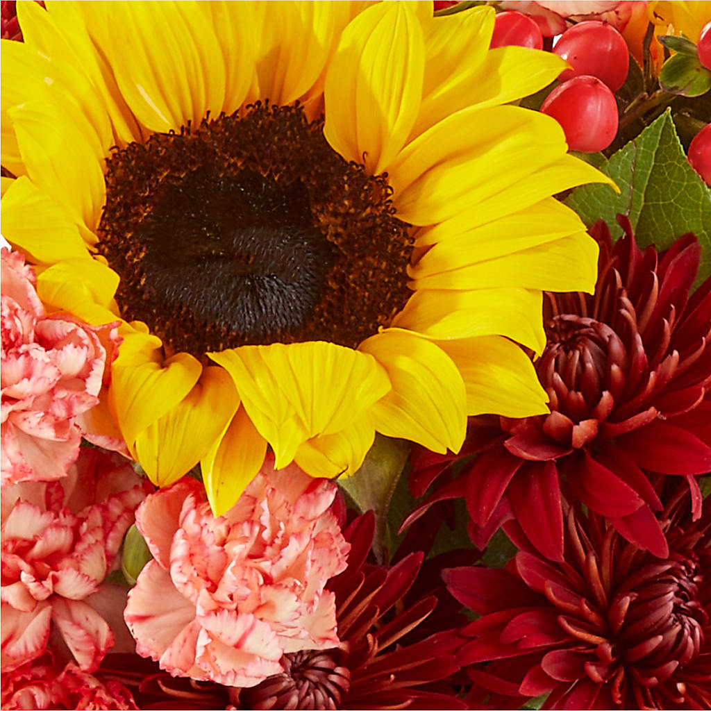 Fresh Cider Bouquet –  Fleurs.ca, Quebec PQ