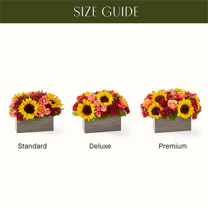 Fresh Cider Bouquet –  Fleurs.ca, Quebec PQ