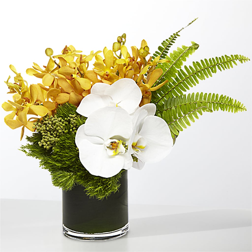 The Tropics –  Fleurs.ca, Quebec PQ
