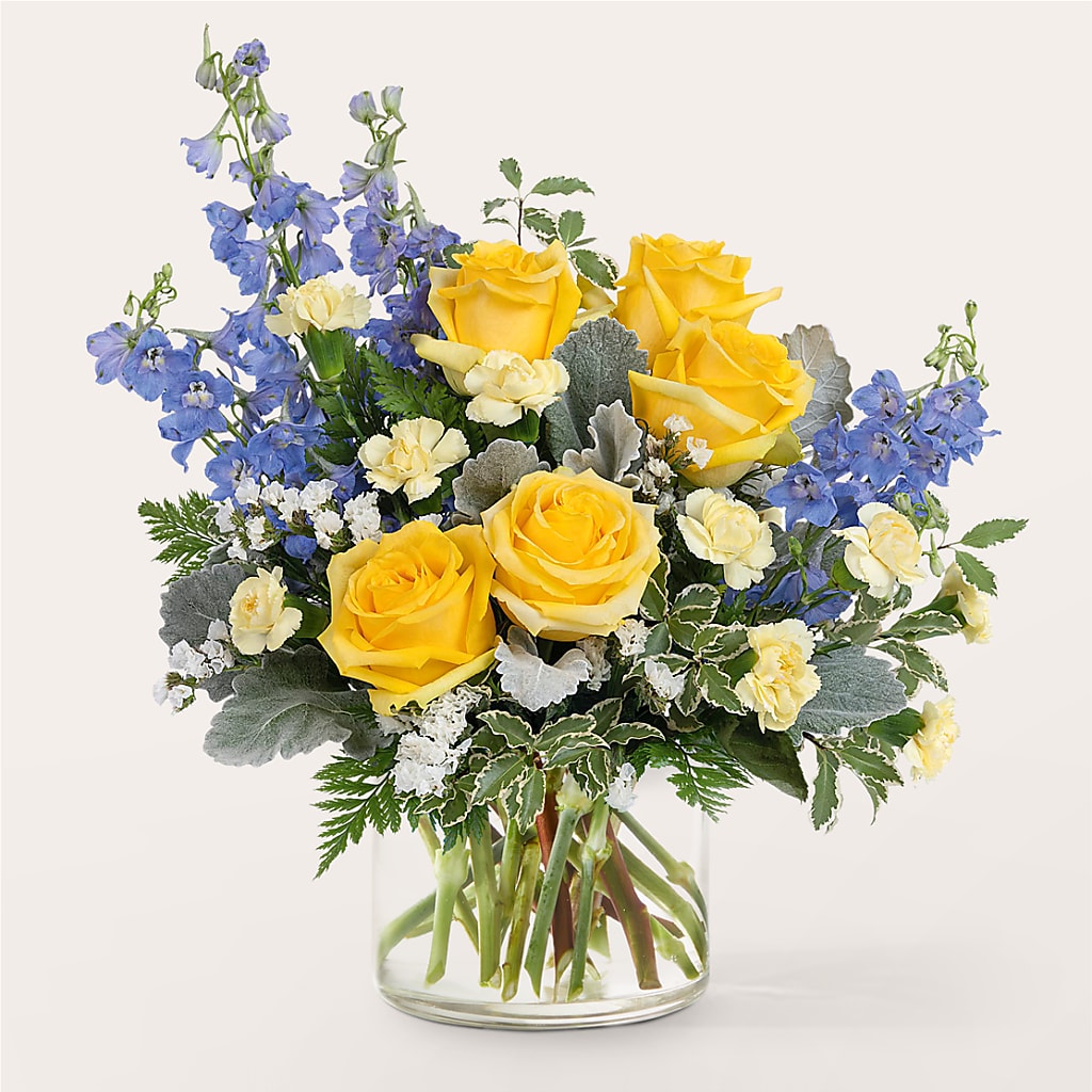 Bouquet d'ailes de papillon