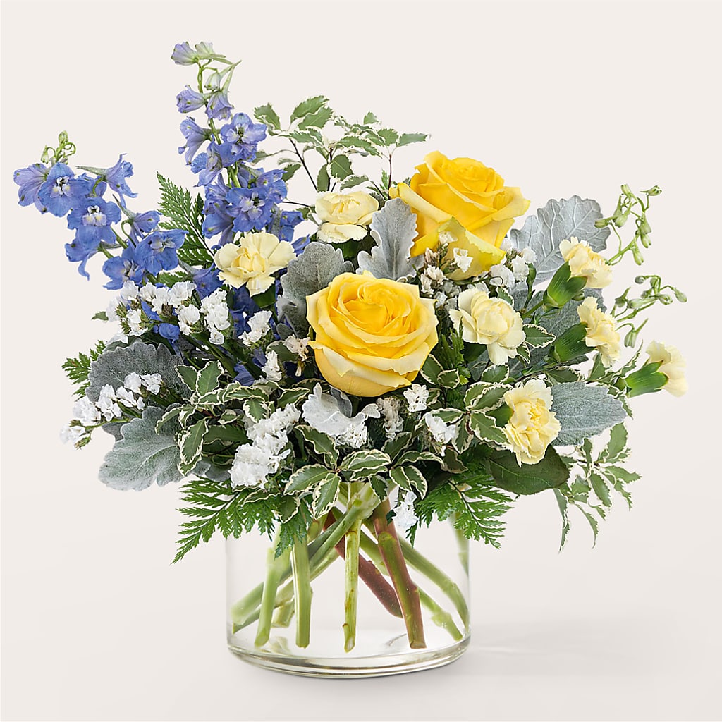 Bouquet d'ailes de papillon