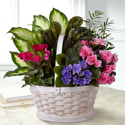 Peaceful Garden Planter –  Fleurs.ca, Quebec PQ