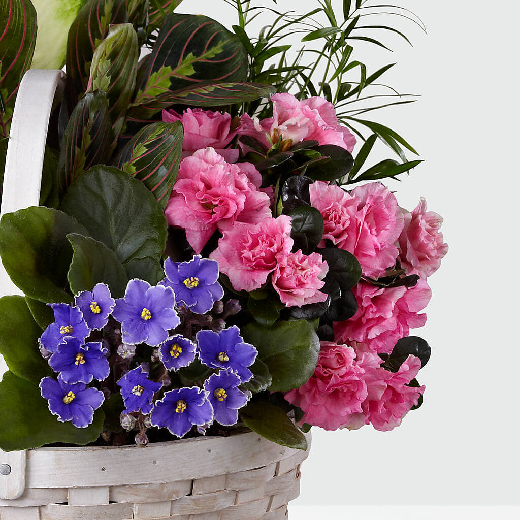 Peaceful Garden Planter –  Fleurs.ca, Quebec PQ