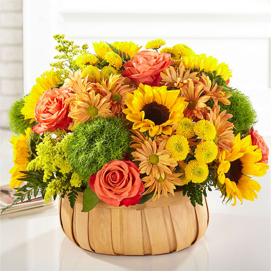 Harvest Sunflower Basket –  Fleurs.ca, Quebec PQ