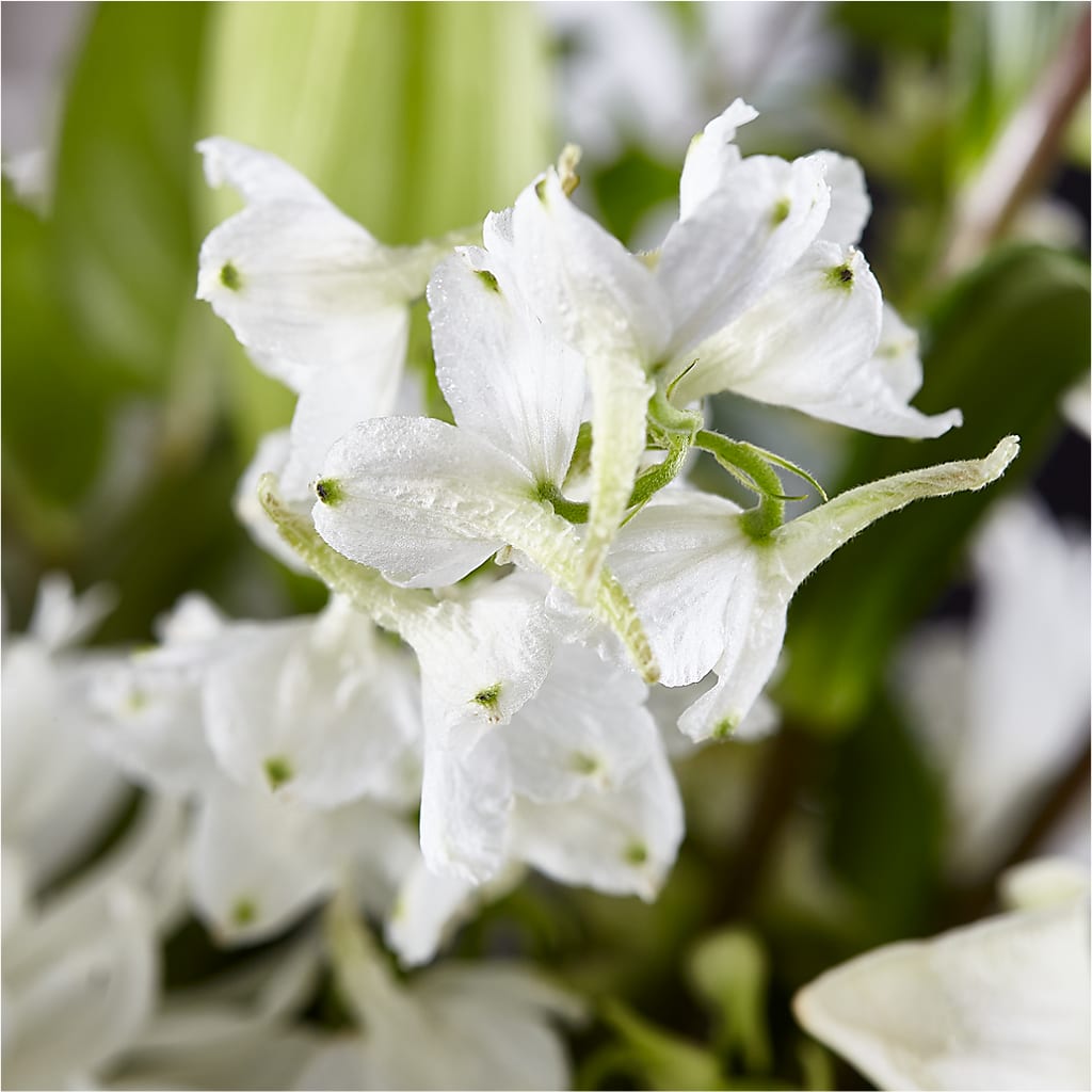 Classic Ivory – A Florist Original –  Fleurs.ca, Quebec PQ