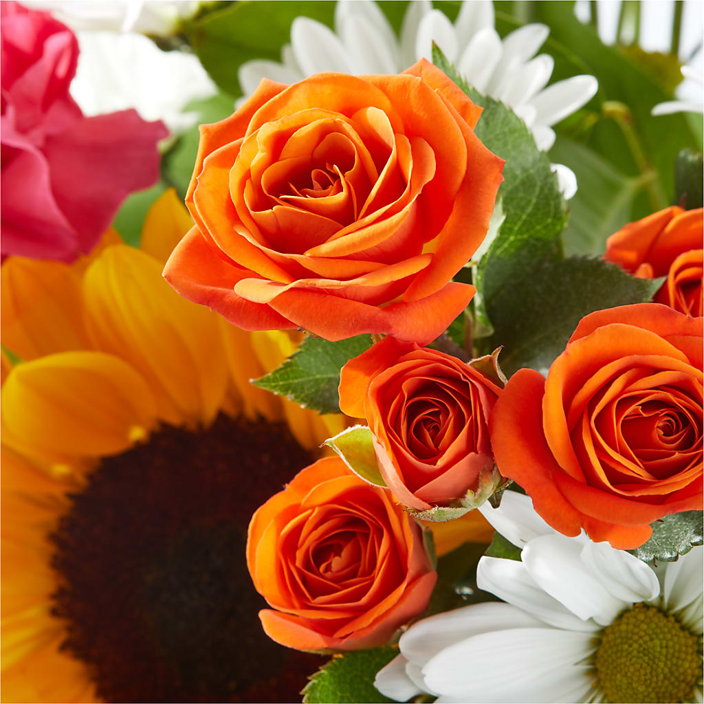 Sun-drenched Blooms Bouquet –  Fleurs.ca, Quebec PQ