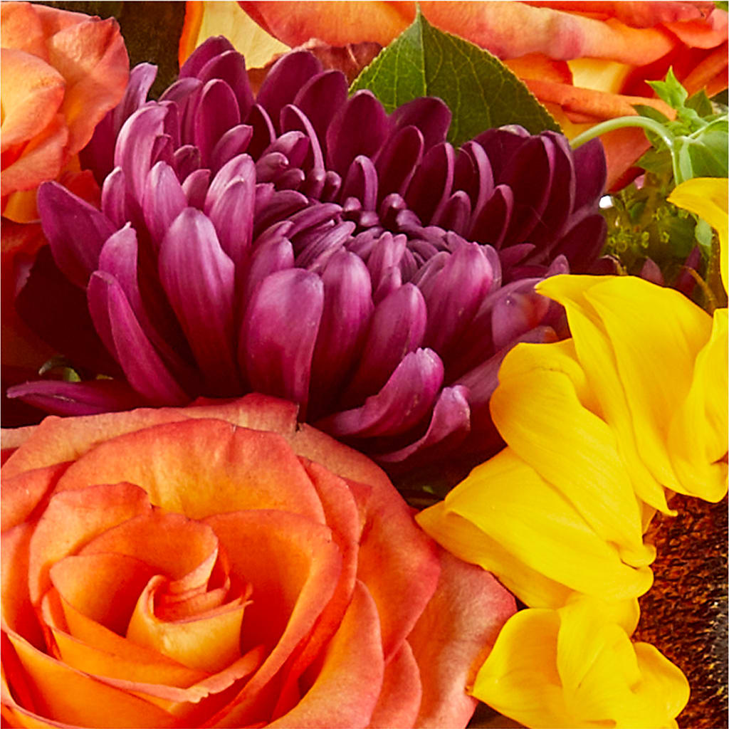 Nature Walk Bouquet –  Fleurs.ca, Quebec PQ