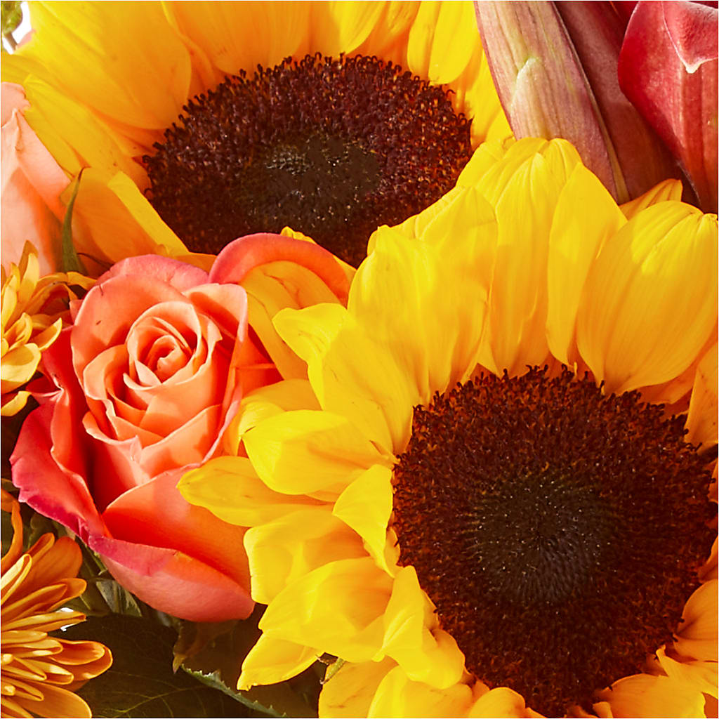 Acorn Lane Bouquet –  Fleurs.ca, Quebec PQ