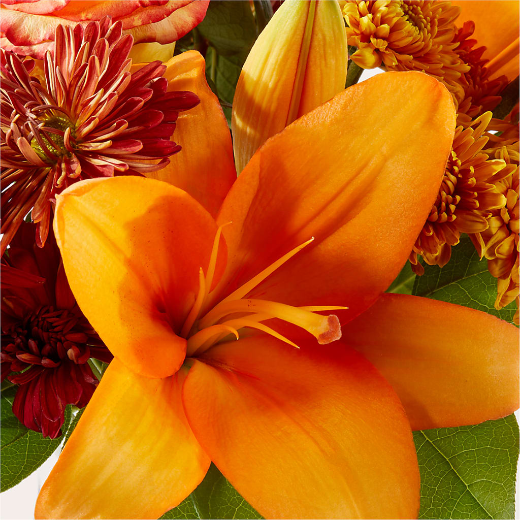 Autumnal Aroma Bouquet –  Fleurs.ca, Quebec PQ