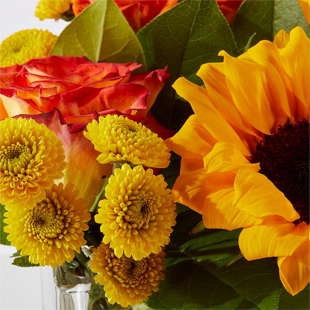Picnic in the Park Bouquet –  Fleurs.ca, Quebec PQ