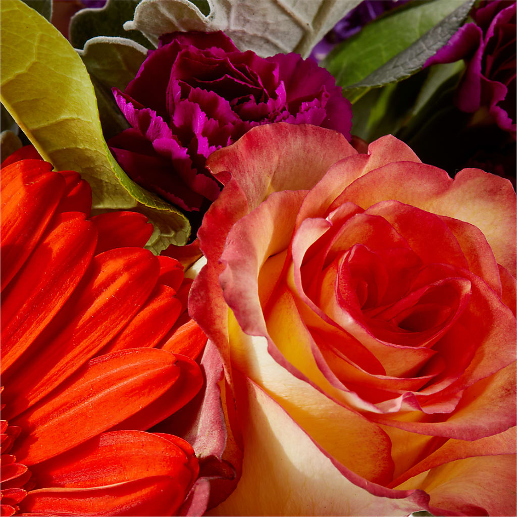 Sangria Bouquet –  Fleurs.ca, Quebec PQ
