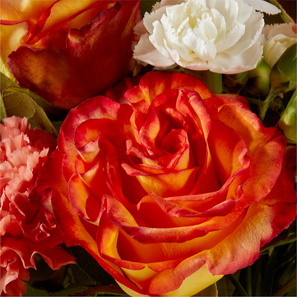 Apricot Glow Bouquet –  Fleurs.ca, Quebec PQ