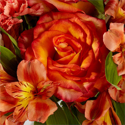 Apricot Glow Bouquet –  Fleurs.ca, Quebec PQ
