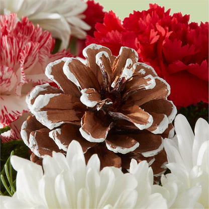 Candy Cane Lane Bouquet –  Fleurs.ca, Quebec PQ
