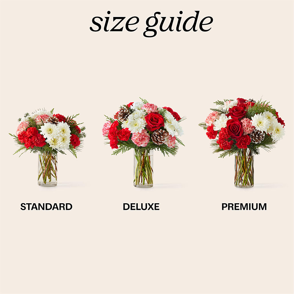 Candy Cane Lane Bouquet –  Fleurs.ca, Quebec PQ