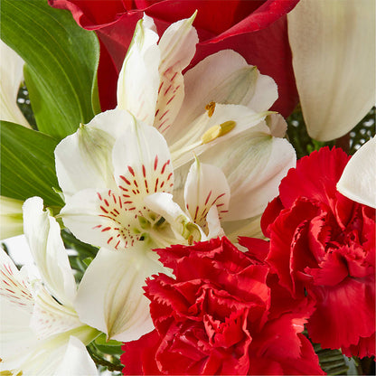 Holiday Season Bouquet –  Fleurs.ca, Quebec PQ