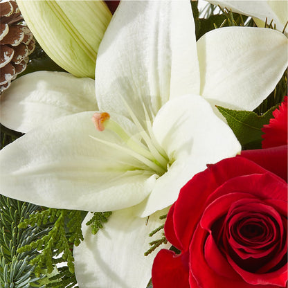 Oh So Jolly Bouquet –  Fleurs.ca, Quebec PQ