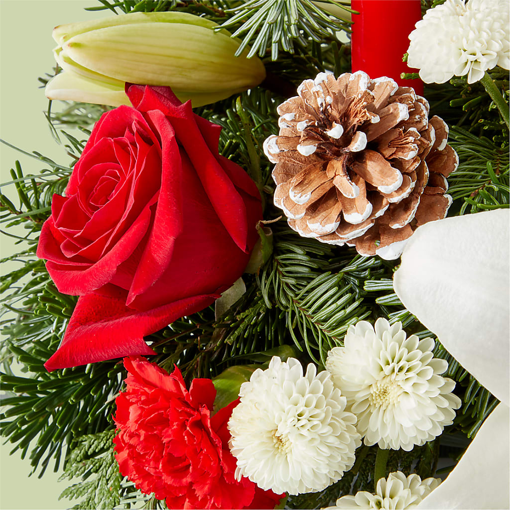 Seasonal Festivities Centerpiece –  Fleurs.ca, Quebec PQ