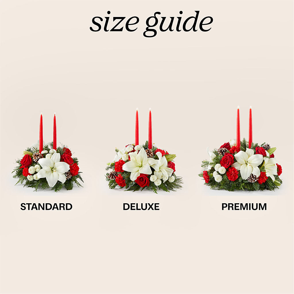 Seasonal Festivities Centerpiece –  Fleurs.ca, Quebec PQ