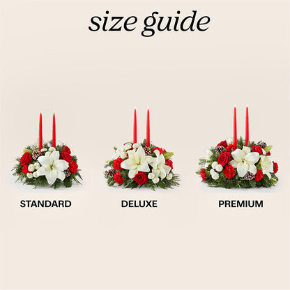 Seasonal Festivities Centerpiece –  Fleurs.ca, Quebec PQ