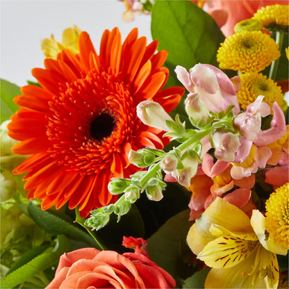 Autumn Sunshine Bouquet –  Fleurs.ca, Quebec PQ