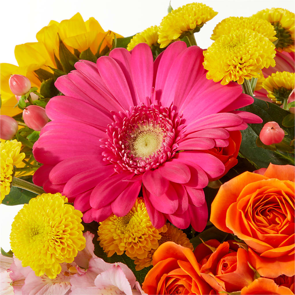 Beach Day Bouquet –  Fleurs.ca, Quebec PQ