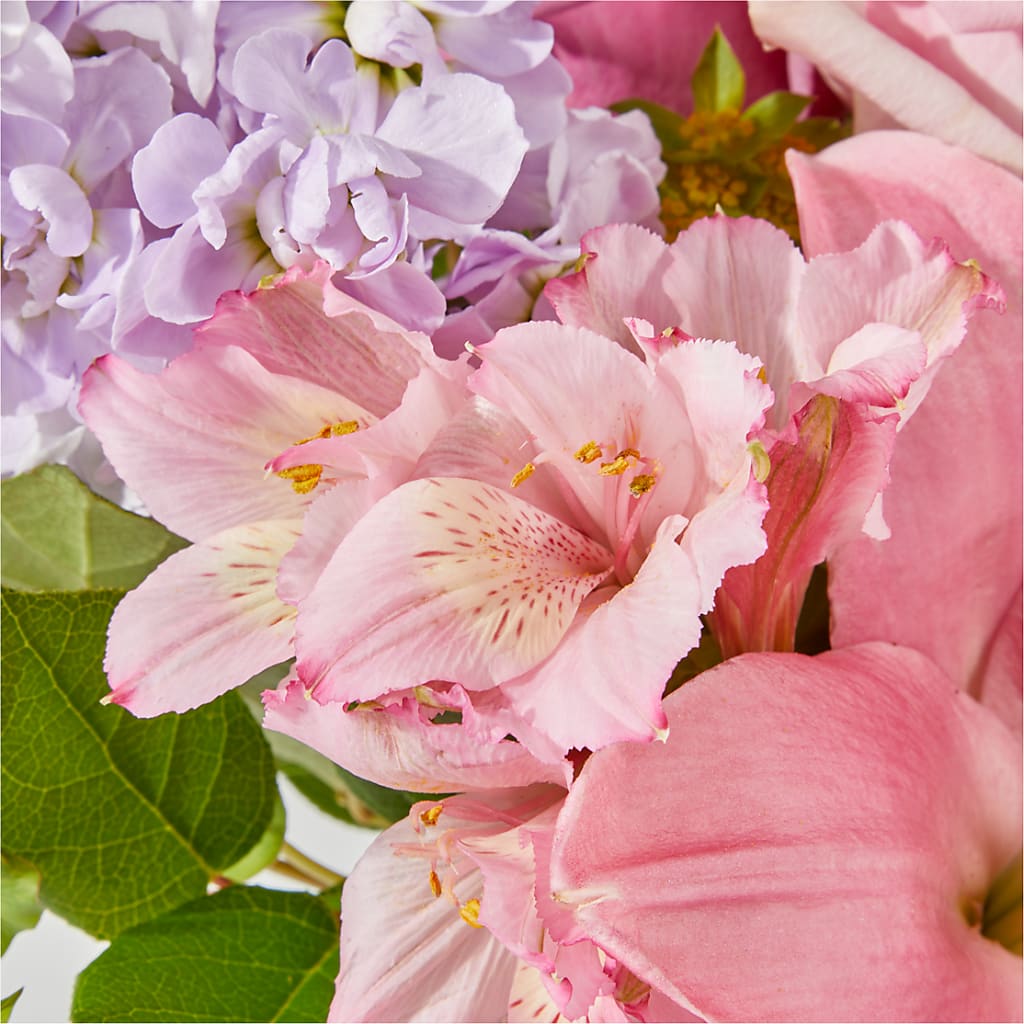 The Crown Jewel Bouquet –  Fleurs.ca, Quebec PQ