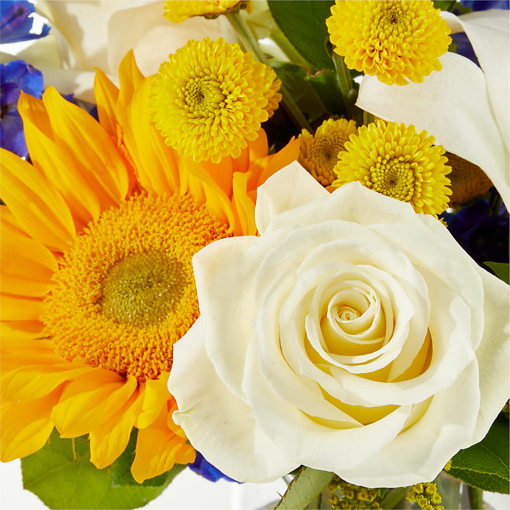 Stargazing Bouquet –  Fleurs.ca, Quebec PQ