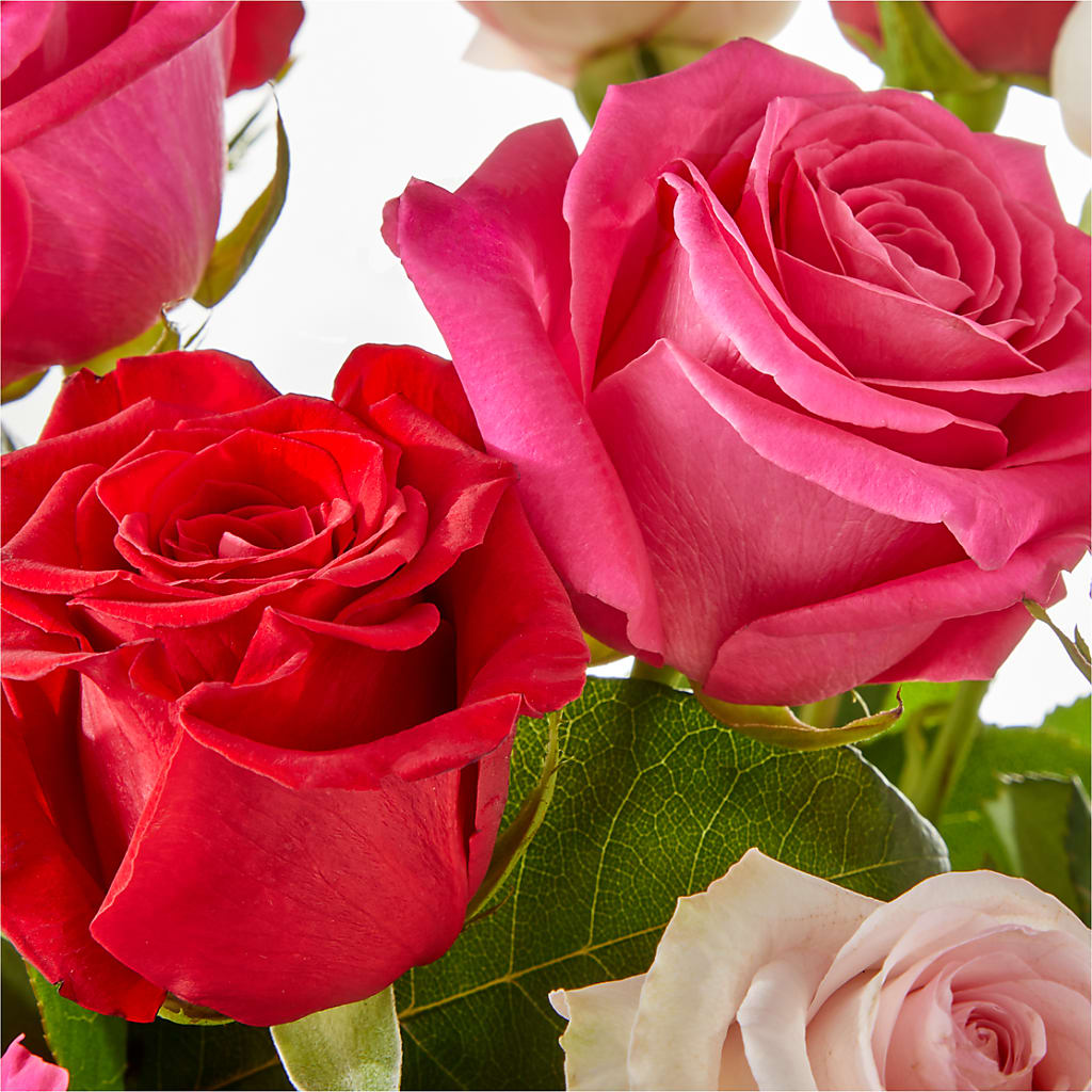 Charming Rose Bouquet –  Fleurs.ca, Quebec PQ