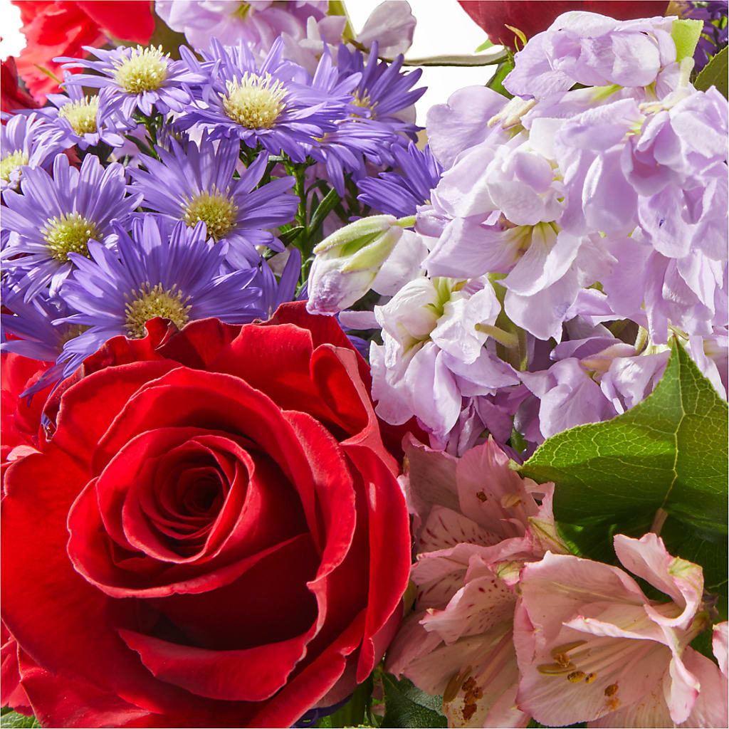 Your Majesty Bouquet –  Fleurs.ca, Quebec PQ