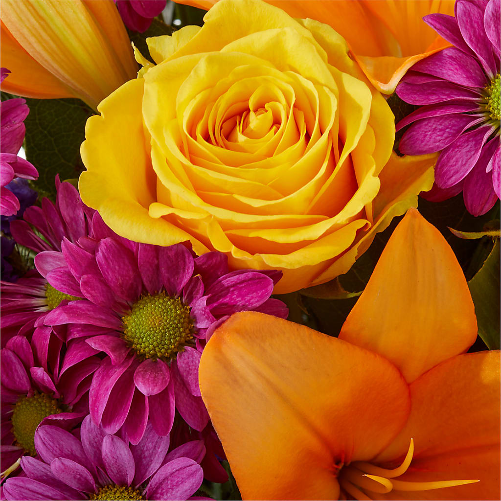Colorful Visions Bouquet –  Fleurs.ca, Quebec PQ