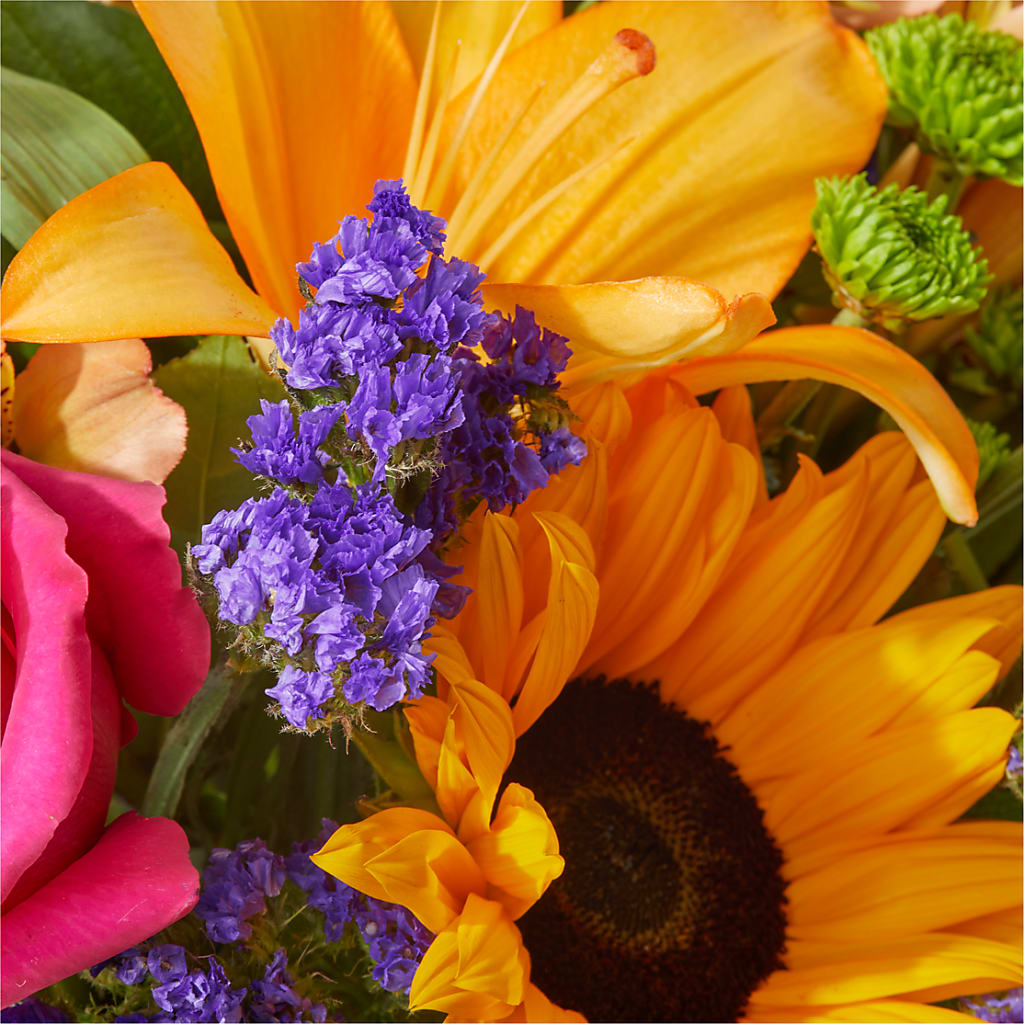 Joyful Bouquet –  Fleurs.ca, Quebec PQ