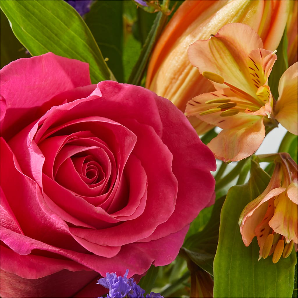 Joyful Bouquet –  Fleurs.ca, Quebec PQ