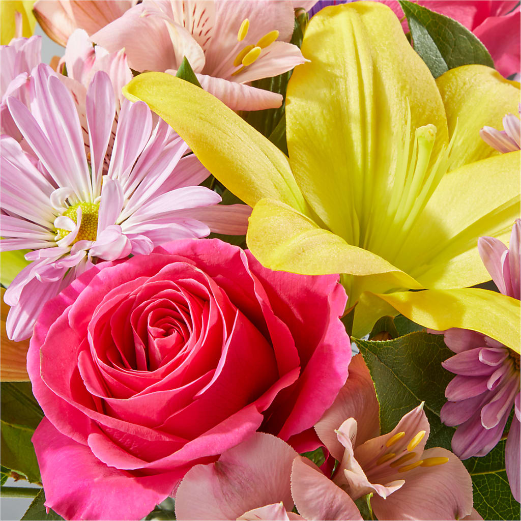 Sprinkles Bouquet –  Fleurs.ca, Quebec PQ