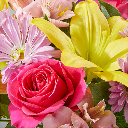 Sprinkles Bouquet –  Fleurs.ca, Quebec PQ